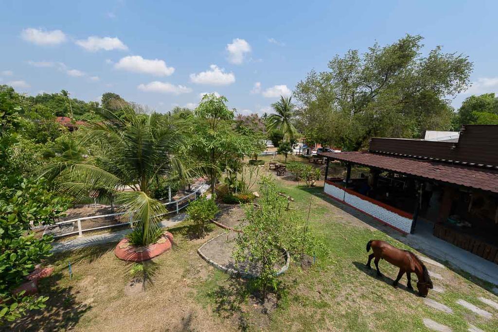 Cowboy Farm Resort Pattaya Ban Huai Yai Exterior foto