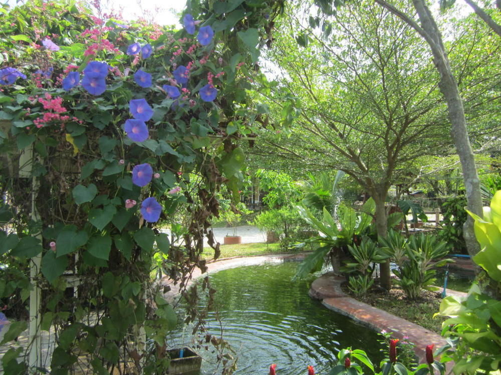 Cowboy Farm Resort Pattaya Ban Huai Yai Exterior foto